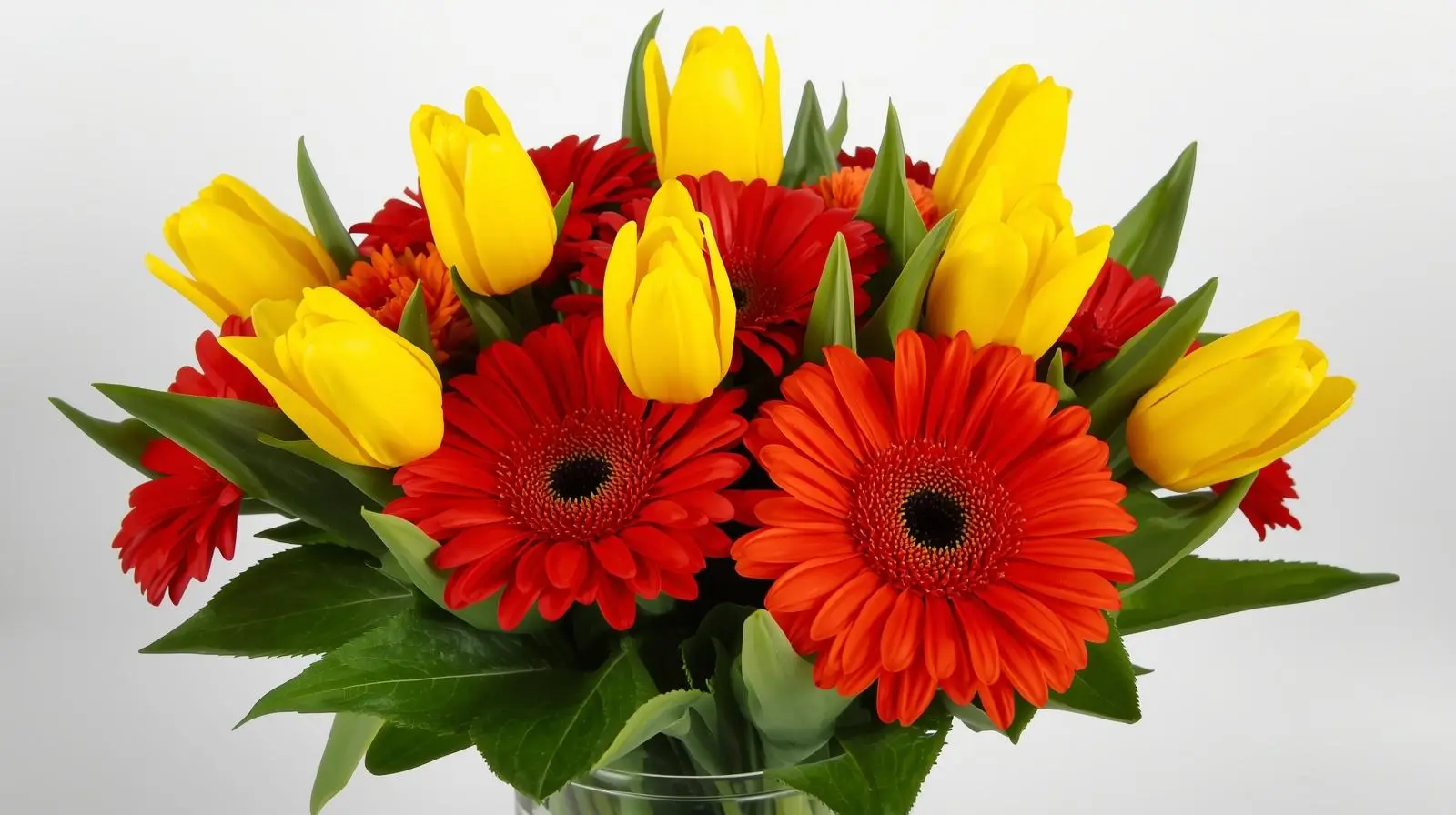 Con tulipanes amarillos alegre y vibrante