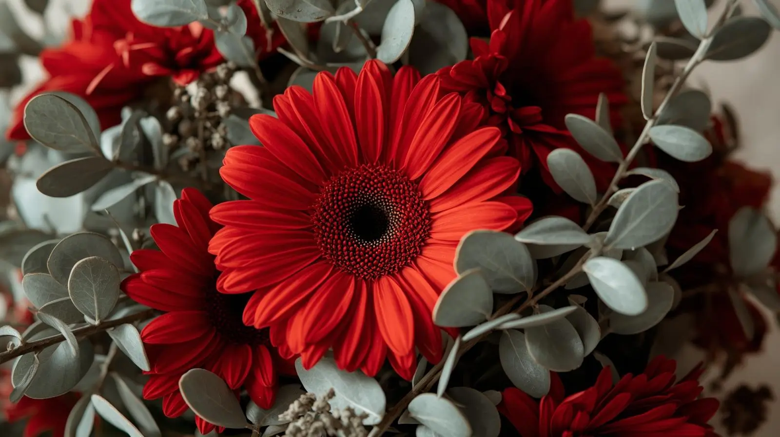 Follaje como eucalipto para un aspecto refinado