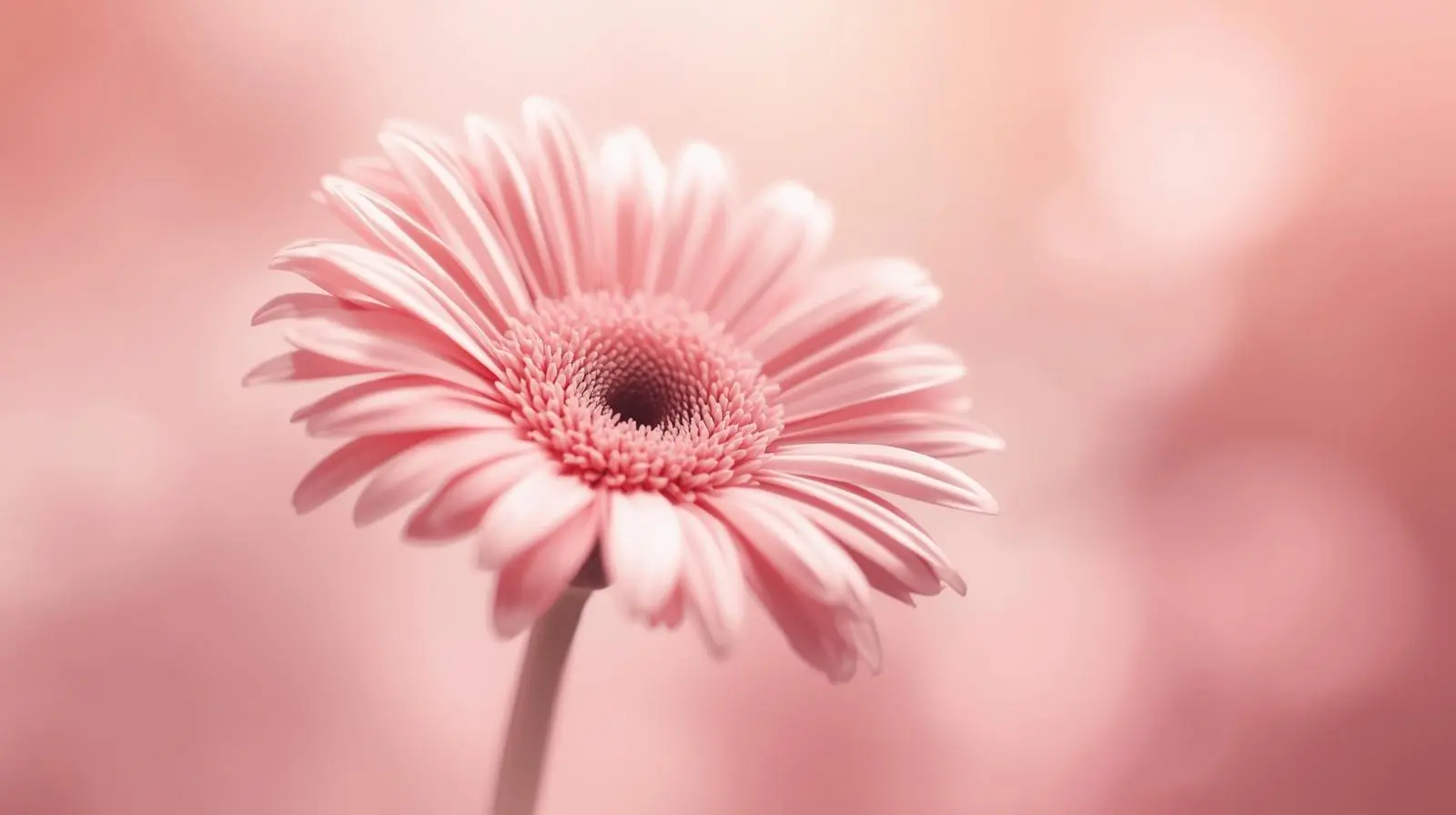 Gestos romanticos suaves y sutiles