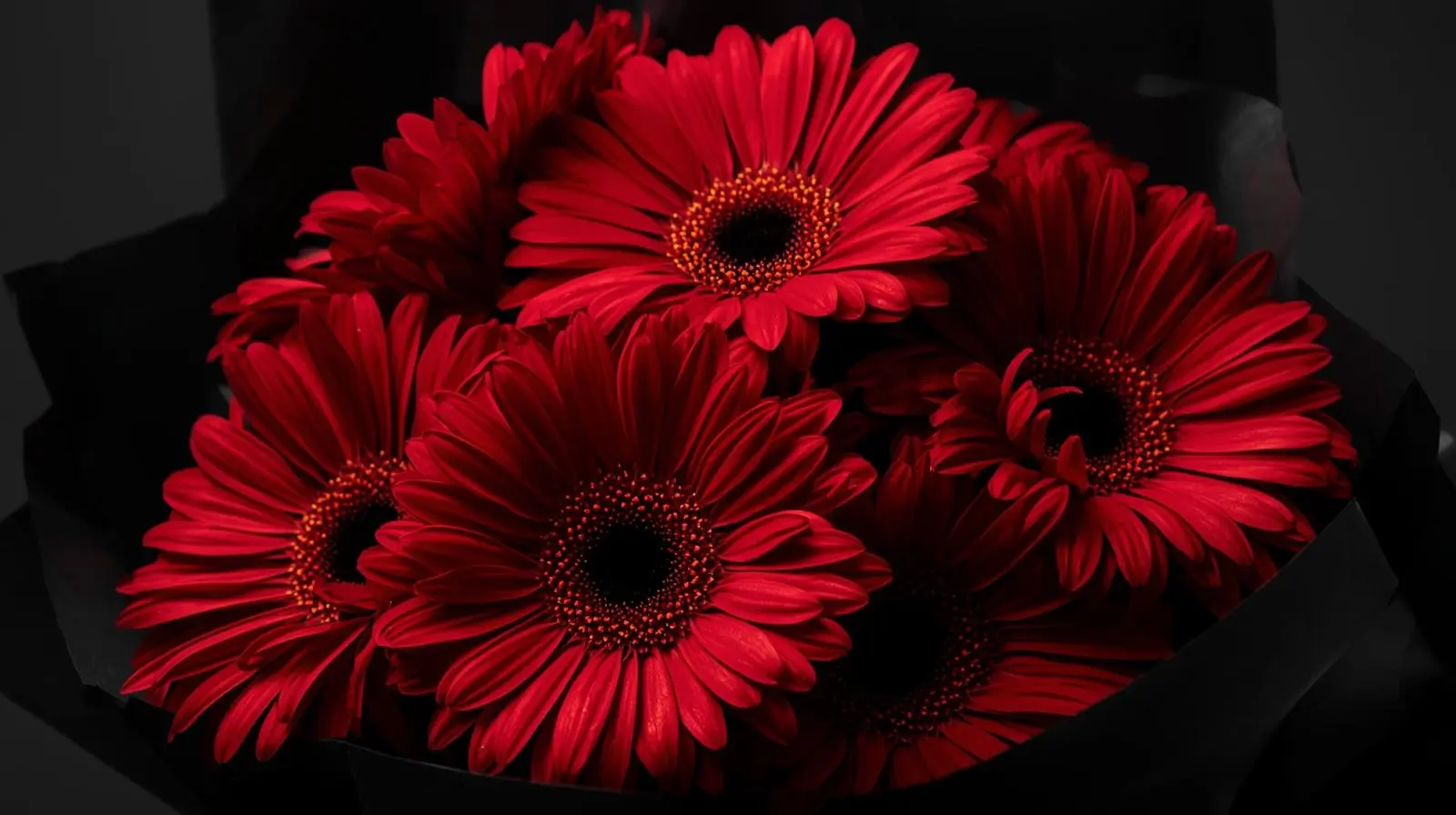 Papel de envoltura negro para ramos dramaticos