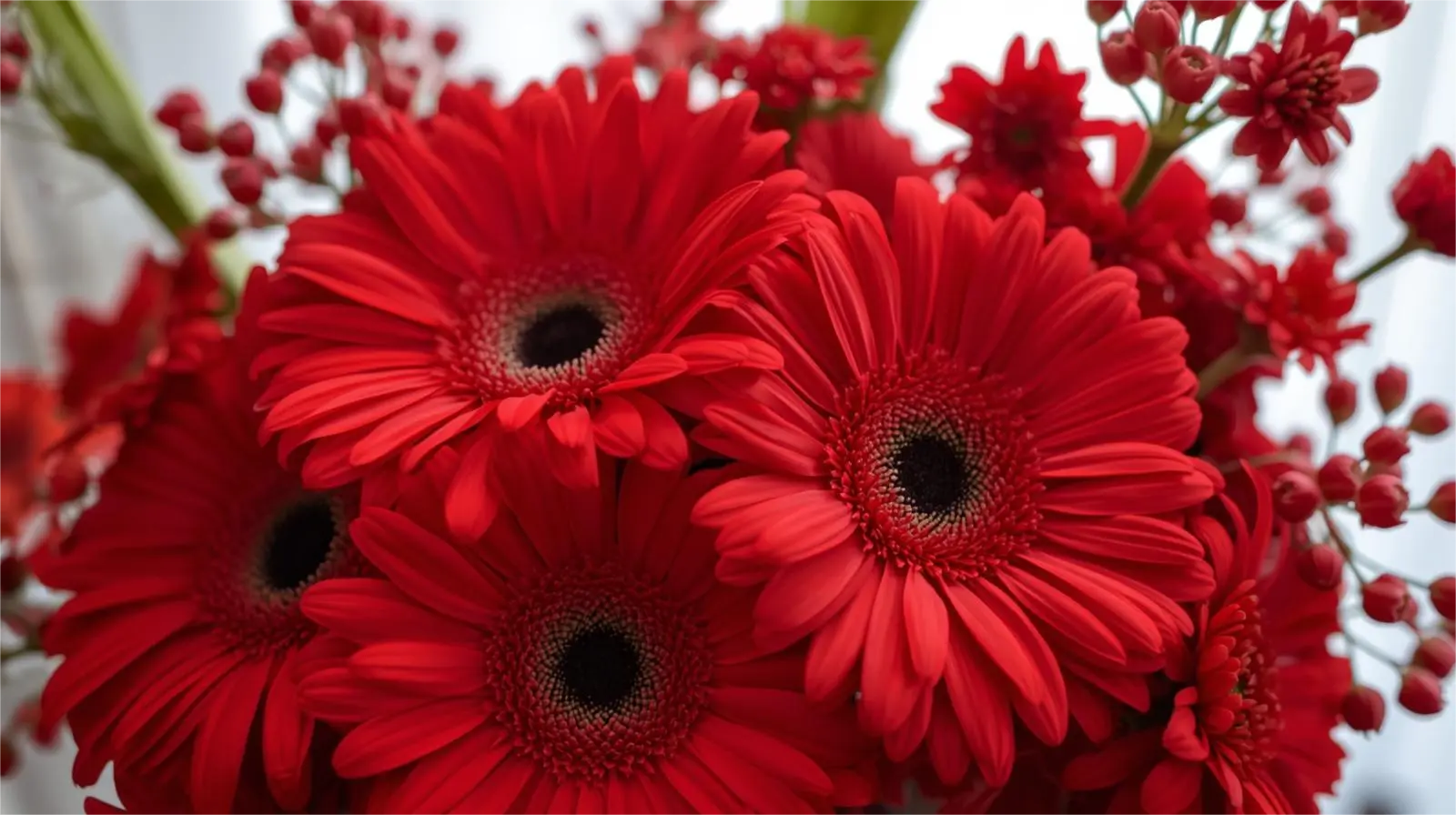 Ramos afectuosos con acentos rojos