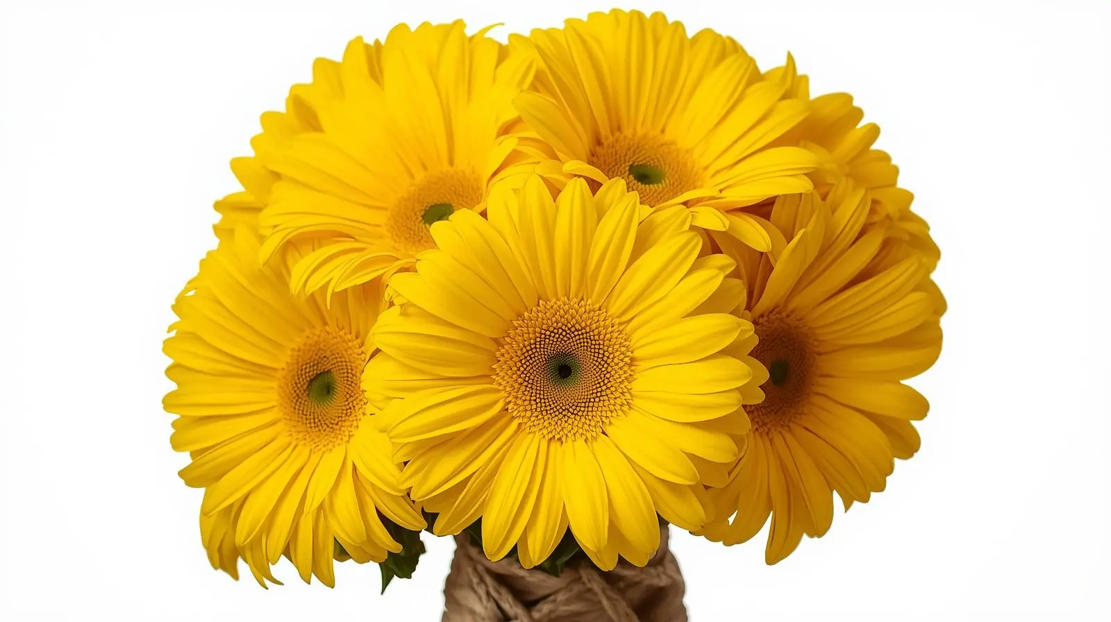 Ramos atados a mano 1