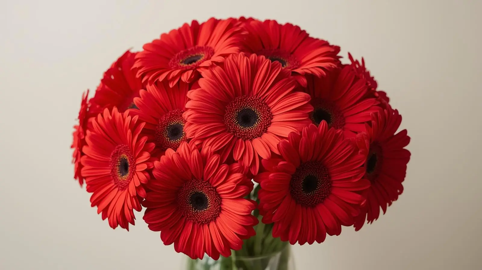 Ramos redondos o en forma de cupula