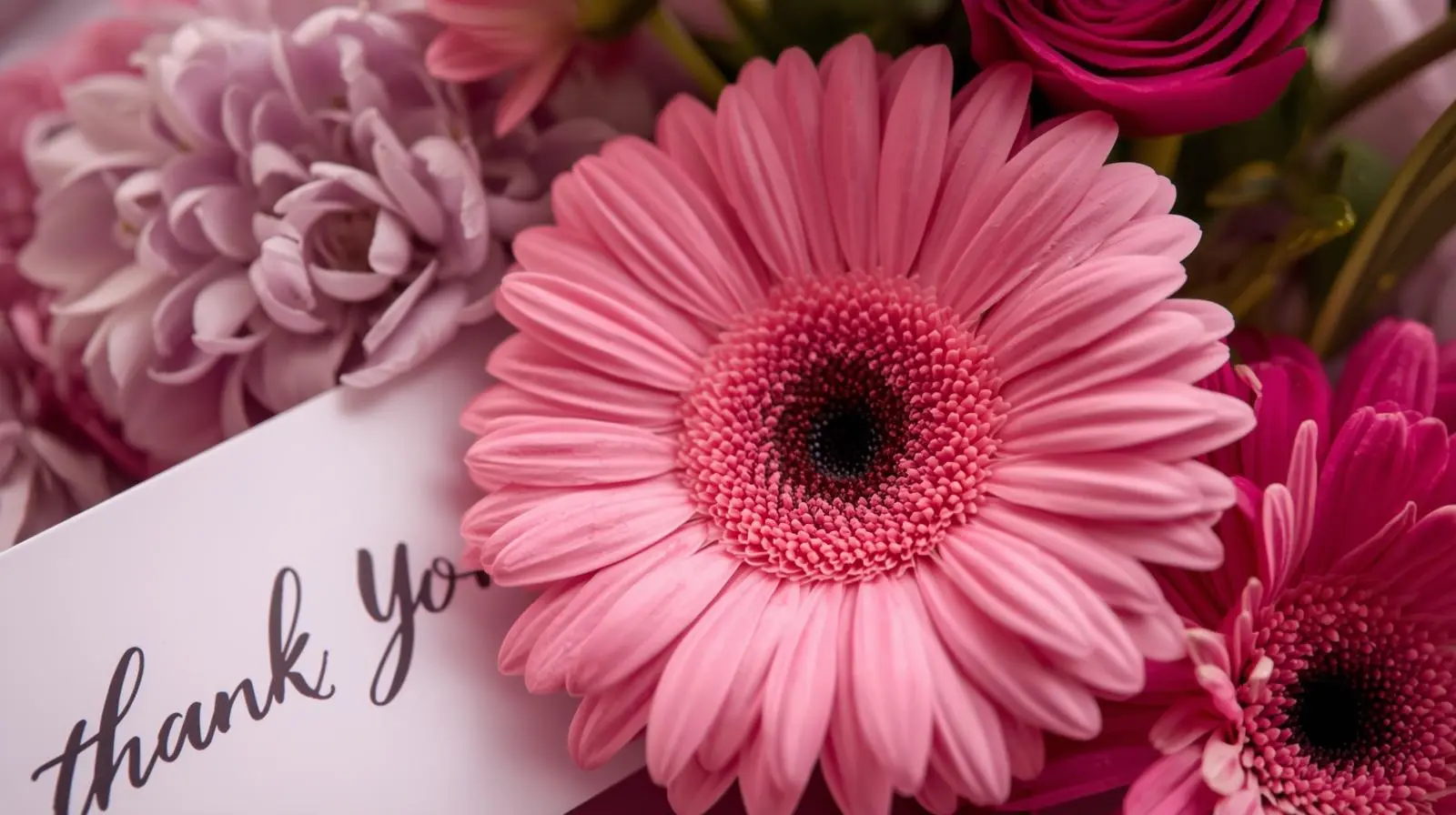 Regalos de agradecimiento